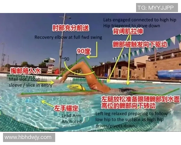 自由泳技巧全解析从基础动作到高级训练的全面指导